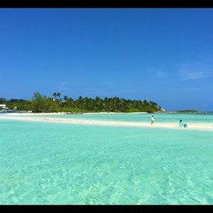 Meet your Posher, Presley